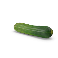 Small Cucumber.H03.2k