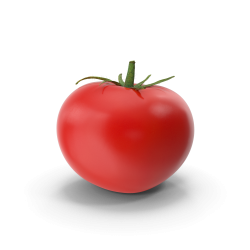 Tomato with Leaf.H03.2k